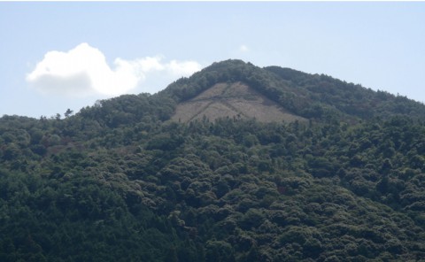 神楽岡から見た、大文字山