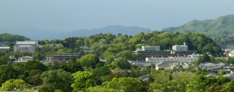 紫雲山