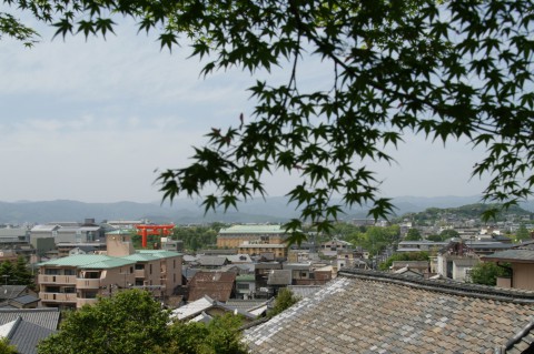 粟田神社境内カラの眺め