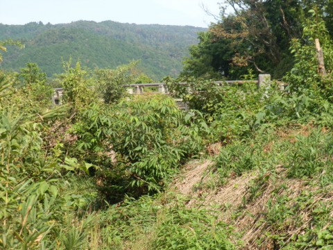 粟田山山頂