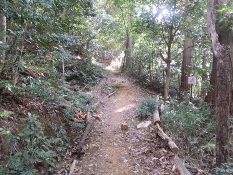 東山トレイル