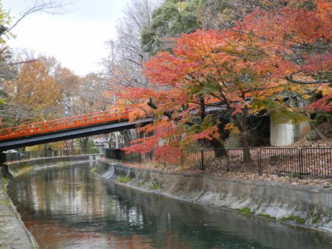 本圀寺への橋
