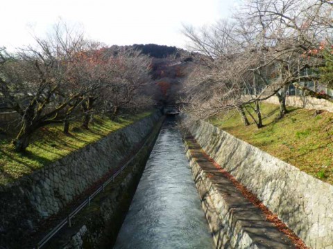 直線水路